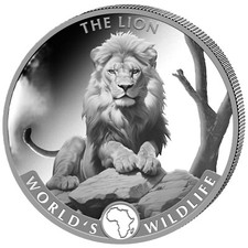 Silbermünze worlds wildlife gebraucht kaufen  Fürstenau