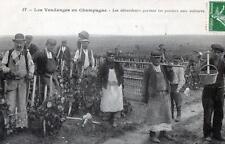 Cpa vendanges champagne d'occasion  Expédié en Belgium