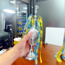 Réplica de resina da Primeira Divisão da Liga de Futebol 33cm troféu com fita colorida Leeds comprar usado  Enviando para Brazil