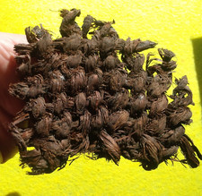 Textile basket fragment for sale  Allyn