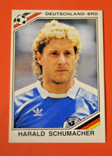 Panini fußball cup gebraucht kaufen  Schöngeising