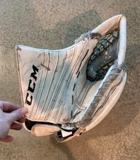 White used senior for sale  Fort Wayne