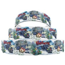 Character ribbon polar for sale  SKELMERSDALE