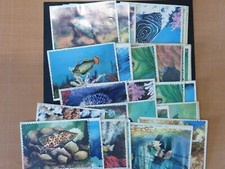 Image carte scolaire d'occasion  Senones