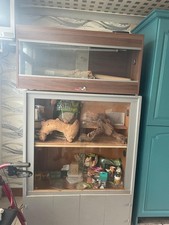 Vivariums for sale  ASHBOURNE