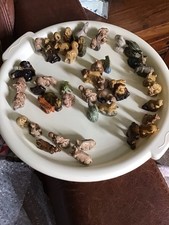 Great starter collection for sale  BLACKBURN
