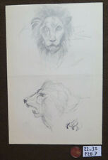 Leone vecchio disegno usato  Torino