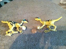 Dino valley oviraptor for sale  Woodbury