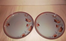 Denby twilight dinner for sale  NORMANTON