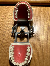 Columbia dentoform typodont for sale  Toppenish