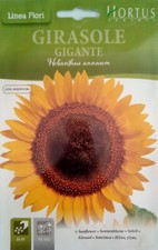 Semi girasole gigante usato  Trappeto