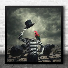 Edited man parrot for sale  UK