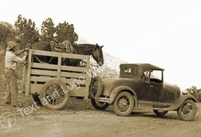 1931 loading horse for sale  Fitchburg