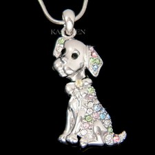 Rainbow labrador retriever for sale  Bonner
