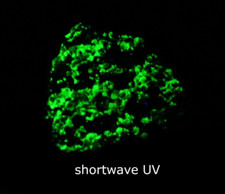 Claret willemite fluorescent for sale  Saginaw