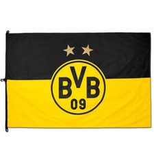 Bvb hissfahne fahne gebraucht kaufen  Scharnebeck