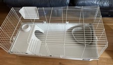 Guinea pig rabbit for sale  BOLTON
