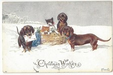 c w faulkner for sale c w faulkner for sale  NANTWICH