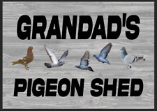 Personalised pigeon loft for sale  BANBURY