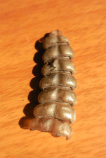 Rattlesnake rattle 2 for sale  Ivoryton