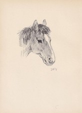 1946 horse print for sale  BIDEFORD