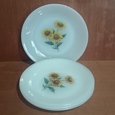 Assiettes plates arcopal d'occasion Assiettes plates arcopal d'occasion  Aubin
