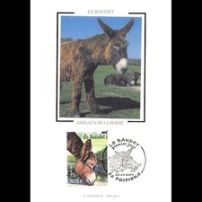 Soie baudet 24 d'occasion  Crécy-la-Chapelle