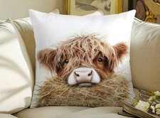 Highland cow hay for sale  SWINDON