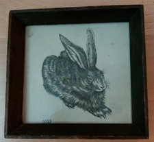 Albrecht dürer hase gebraucht kaufen  Wolfenbüttel