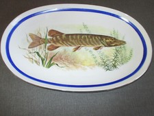 Schöne fischplatte serviertel gebraucht kaufen  Pressig