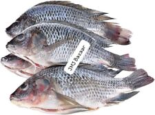 Frozen cleaned medium for sale  PRESTON