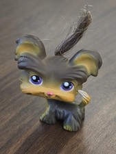 Littlest pet shop for sale  Tampa