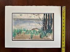 Desenho a tinta Peter Evershed 1950 Long Island paisagem marítima original comprar usado  Enviando para Brazil