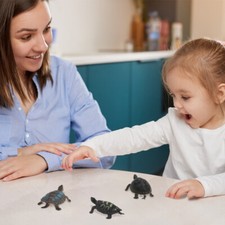 8pcs schildkröte meer gebraucht kaufen  Versand nach Germany