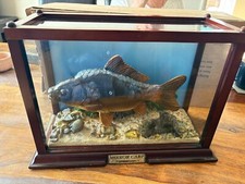 Vintage taxidermy style for sale  ST. LEONARDS-ON-SEA