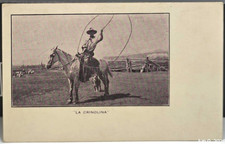 Crinolina cowboy lasso for sale  Palm Desert