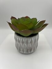 Artificial succulent plant for sale  Newnan