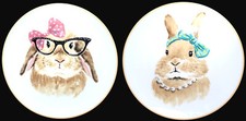 Adorable pier bunnies for sale  Merrimack