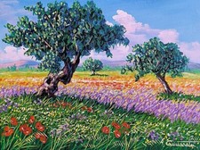 Offerta anziche 160 usato  Augusta