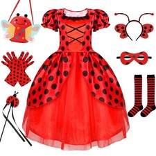 Ladybug costume lady for sale  Brentwood