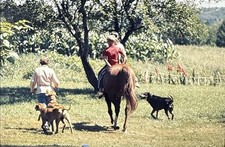 Vintage photo slide for sale  Savanna