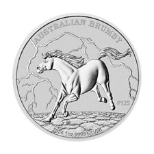 Australia brumby horse usato  Poviglio