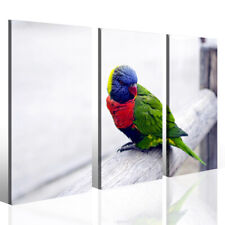 Quadro colors papagene usato  Pontecagnano Faiano