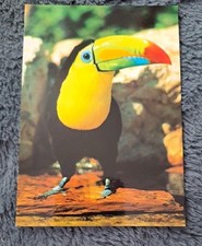 Vogel postkarte bunter gebraucht kaufen  Hamburg