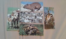 Anciennes cartes merveilles d'occasion  Villemomble