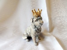 Silvered border terrier for sale  STIRLING