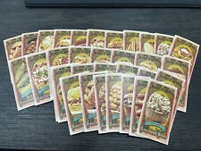 Mini churros BB-15 2024 Topps Allen & Ginter Ballpark Bites comprar usado  Enviando para Brazil