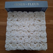 Venus fleur white for sale  Northport
