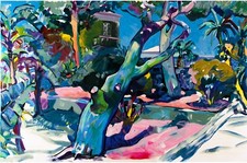 Malacarne claudio giardino usato Malacarne claudio giardino usato  Ragusa