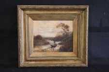 Quadro olio tela usato  San Martino Dall Argine